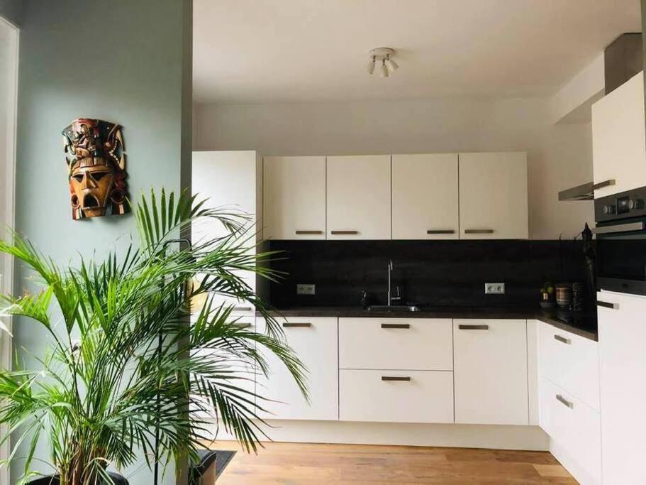 Compleet Huis In Nijmegen Apartment Bagian luar foto